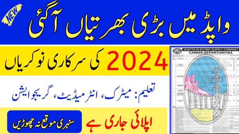 Latest WAPDA Jobs 2024 Advertisement