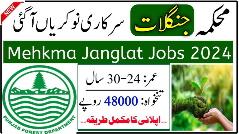 Mehkma Janglat Jobs 2024