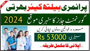 Primary Healthcare Jobs 2024 Application Form